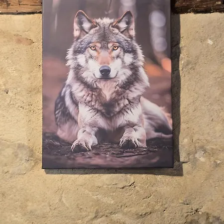 La Taniere Du Loup Lejlighed Le Mans